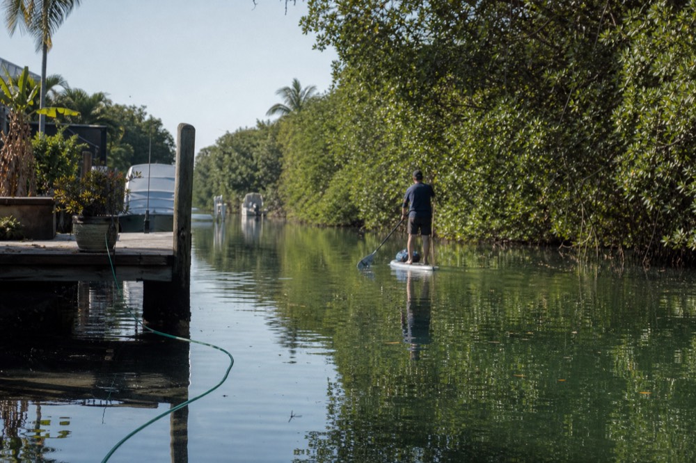 Paddleboarder crossing a calm Fort Lauderdale canal, no text, no logos, no people.